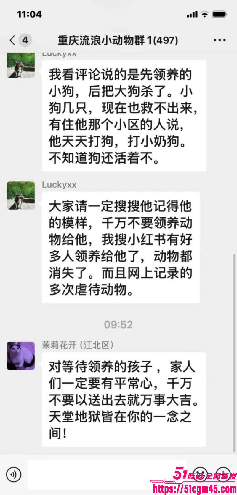 重庆山姆打包哥李萌领养小狗虐杀致死 16 重庆山姆打包哥李萌领养小狗虐杀致死 16