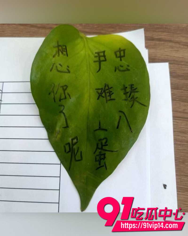 妻子出轨20年 4 妻子出轨20年 4