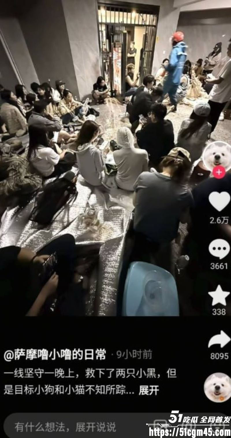 重庆山姆打包哥李萌领养小狗虐杀致死 12 重庆山姆打包哥李萌领养小狗虐杀致死 12