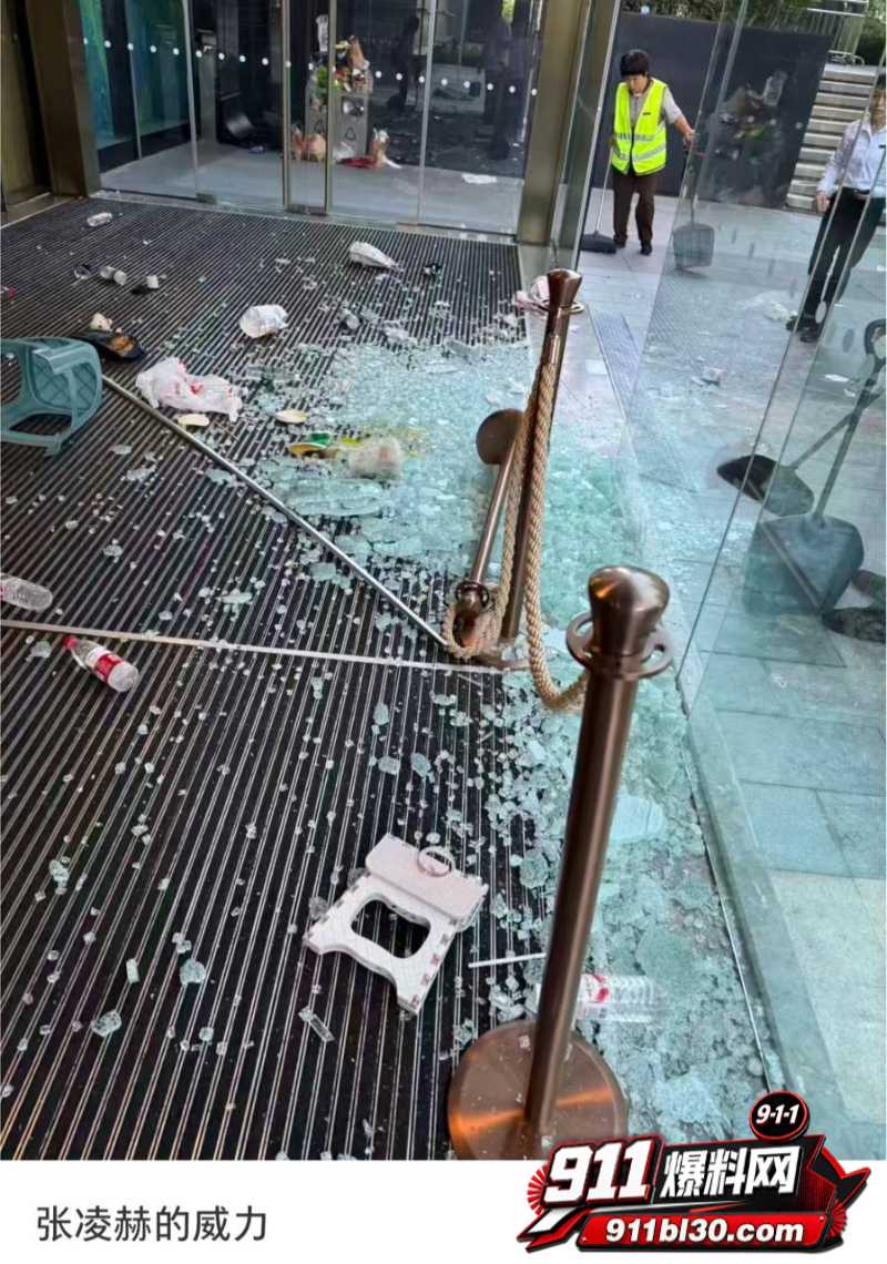 张凌赫狂热女粉丝挤碎玻璃门 14 张凌赫狂热女粉丝挤碎玻璃门 14