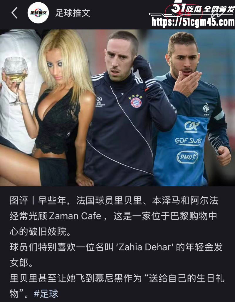 法国国家队世界杯前最大丑闻 1 法国国家队世界杯前最大丑闻 1