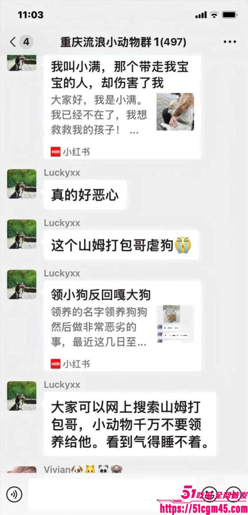 重庆山姆打包哥李萌领养小狗虐杀致死 15 重庆山姆打包哥李萌领养小狗虐杀致死 15