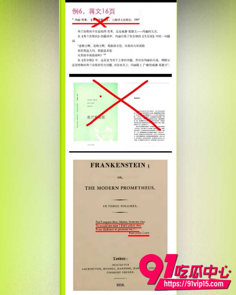 蒋方舟论文造假 16 蒋方舟论文造假 16