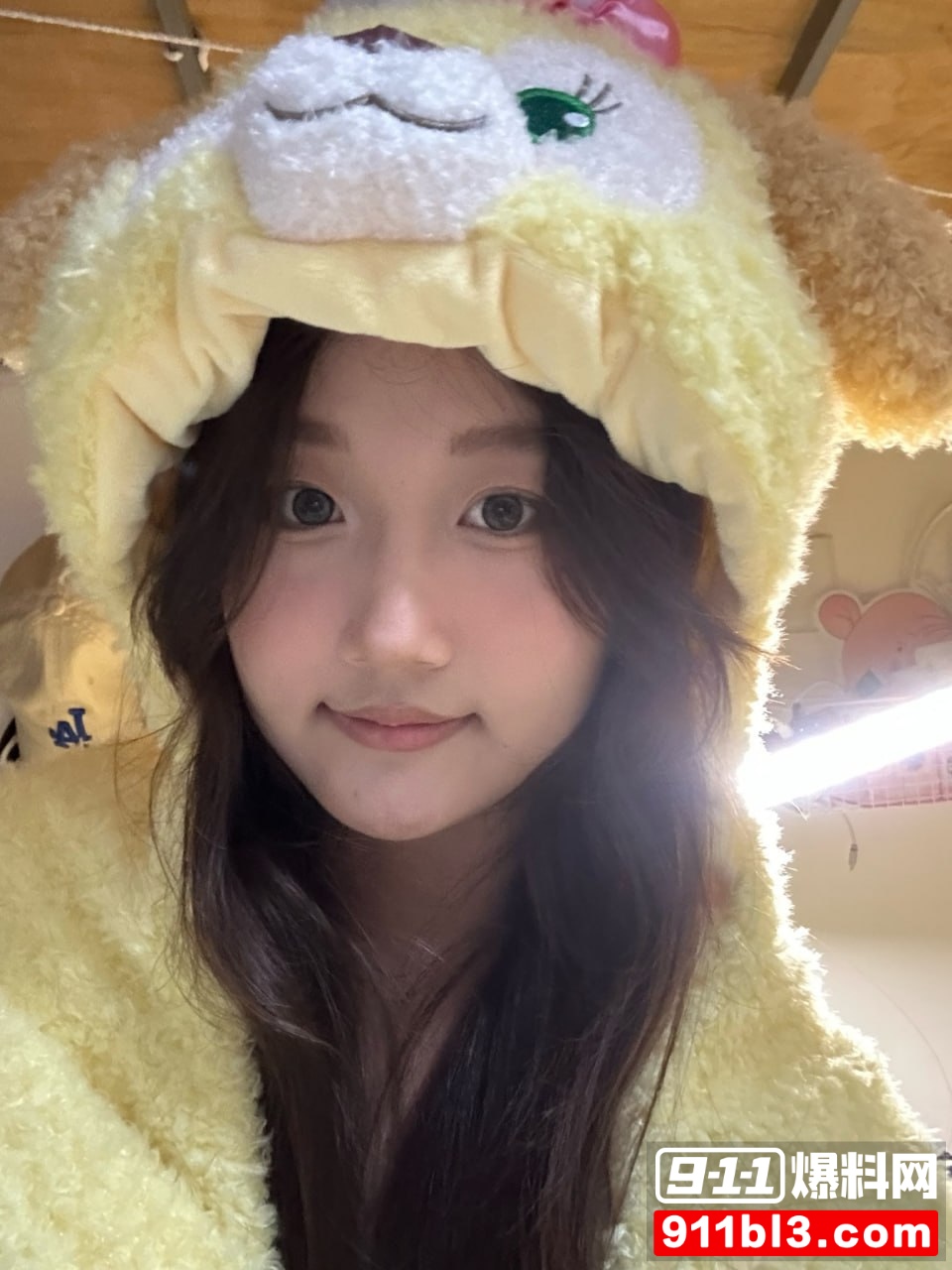 夏叶2 夏叶2