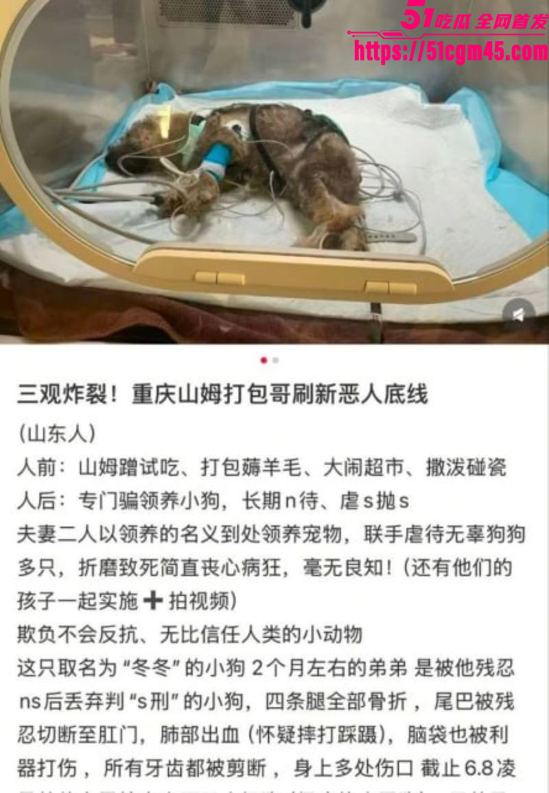 重庆山姆打包哥李萌领养小狗虐杀致死 2 重庆山姆打包哥李萌领养小狗虐杀致死 2