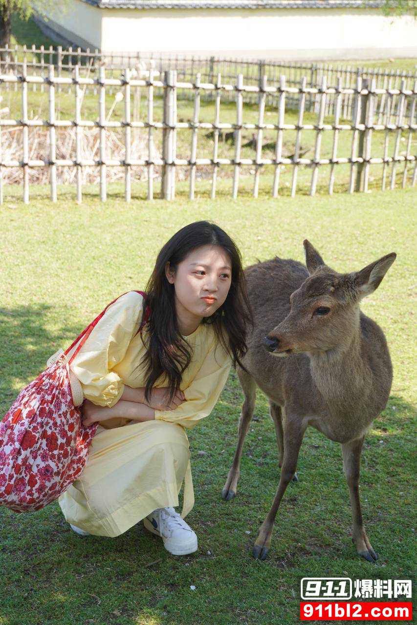 1 1