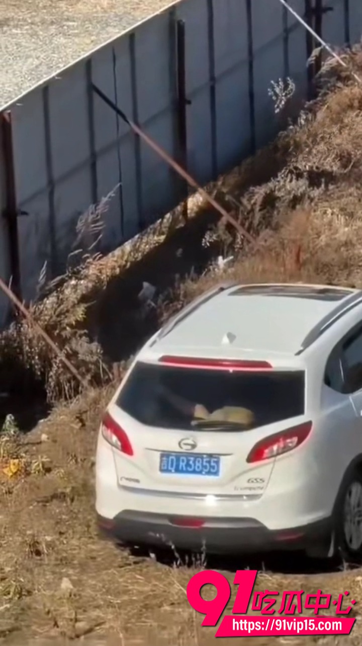 源吉DR3855车主车震视频2 源吉DR3855车主车震视频2