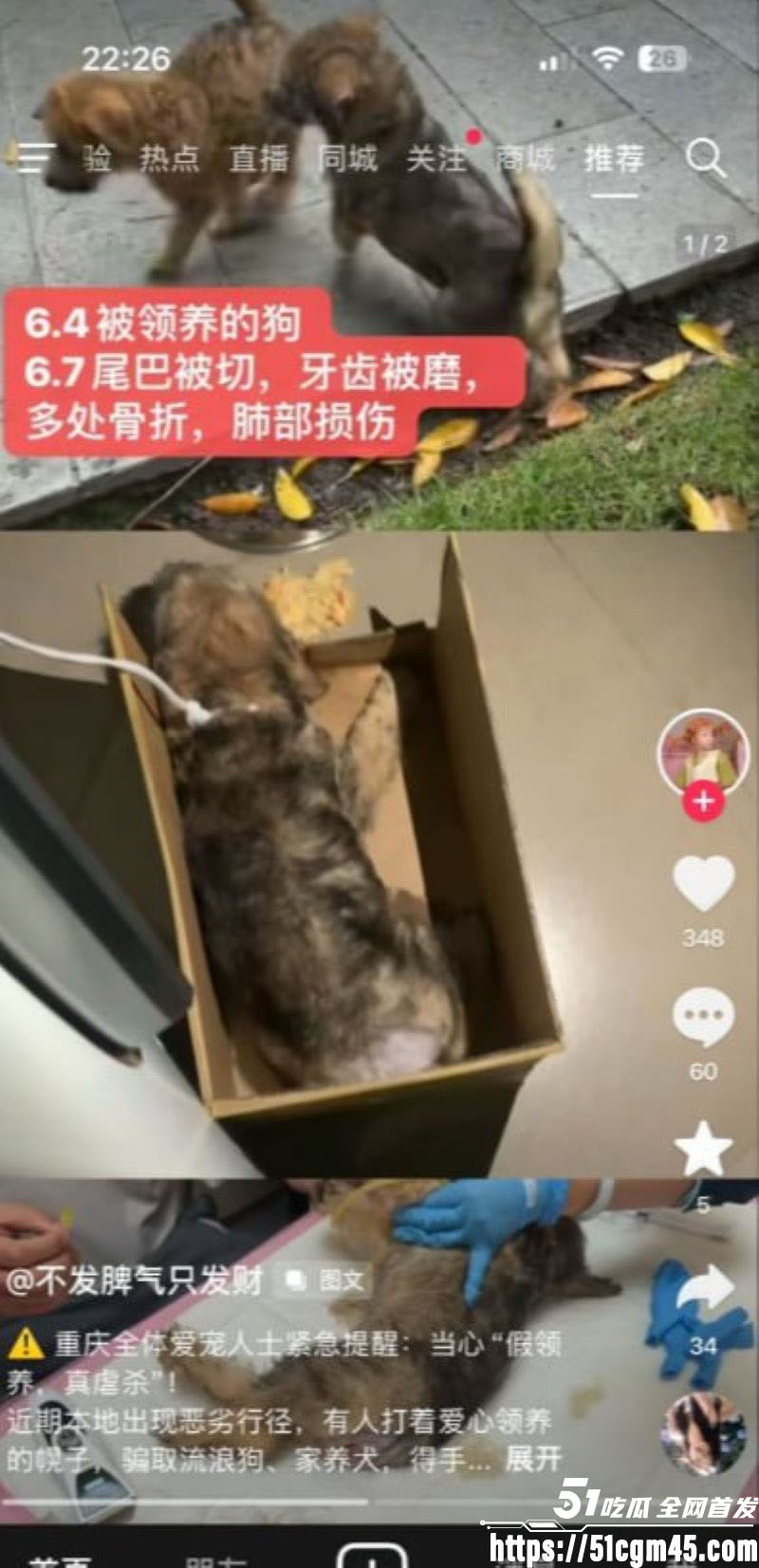 重庆山姆打包哥李萌领养小狗虐杀致死 8 重庆山姆打包哥李萌领养小狗虐杀致死 8