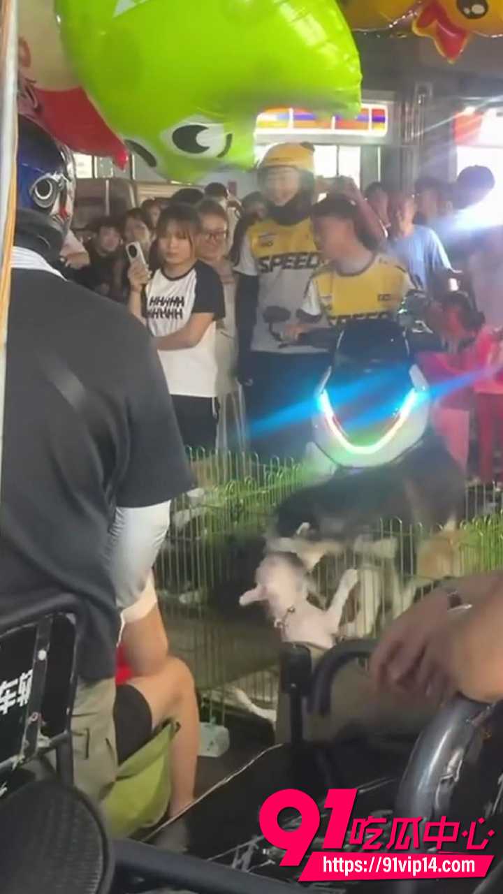 青岛即墨宝龙广场夜市狗贩纠纷2 青岛即墨宝龙广场夜市狗贩纠纷2