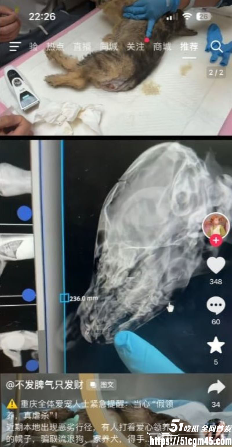 重庆山姆打包哥李萌领养小狗虐杀致死 9 重庆山姆打包哥李萌领养小狗虐杀致死 9