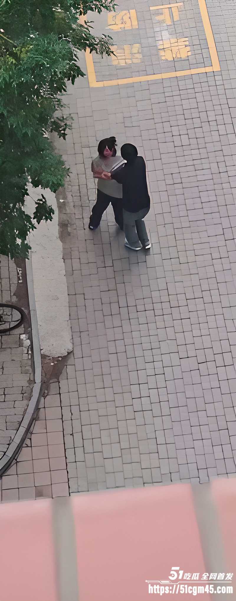 校园宿舍楼下惊现猎奇一幕 1 校园宿舍楼下惊现猎奇一幕 1