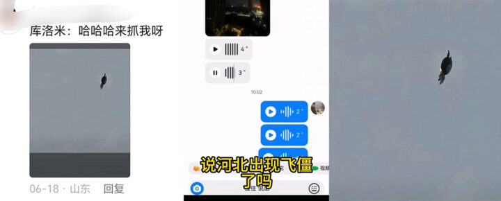 灵异事件又现河北飞僵超市糯米被洗劫一空
